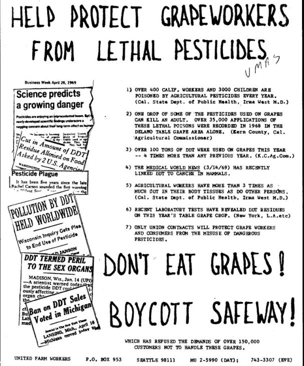 La Raza Comes to Campus The New Chicano Contingent and the Grape